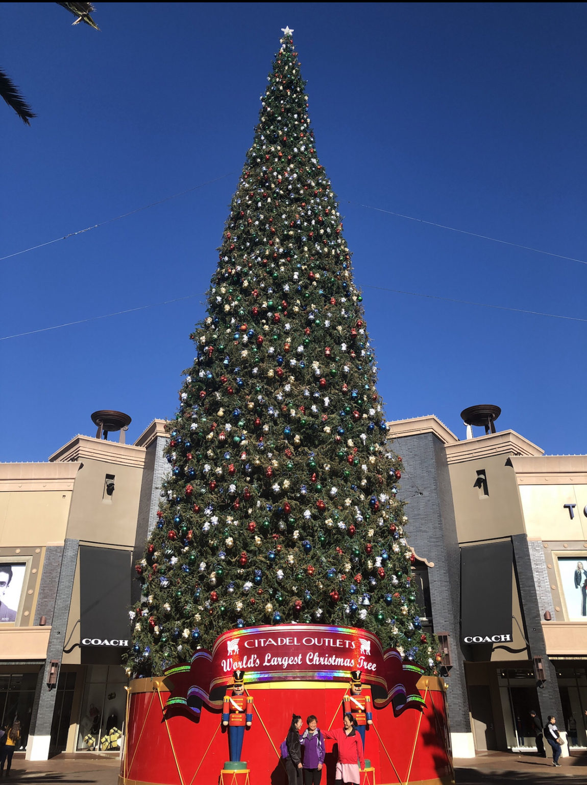 Citadel Outlets 100 ft Tree Let's Talk Los Angeles