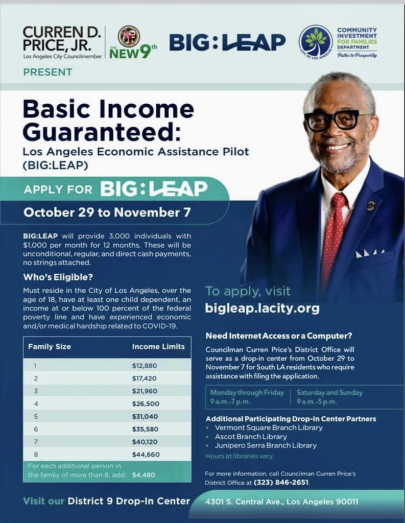 Basic Income Guaranteed Flyer